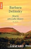 Sturm am Lake Henry