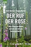 Der Ruf der Rose