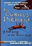 The curious Incident of the Dog in the Night-Time