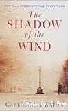 The shadow of the wind