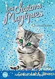 Les chatons magiques