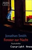 Fenster zur Nacht