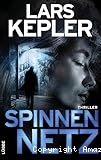 Spinnennetz