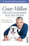 Die Glücksformel für den Hund