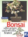 Bonsai selbst gezogen aus heimischen Bäumen